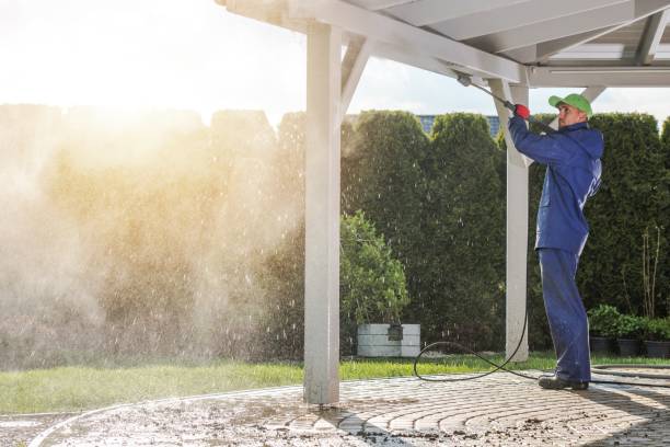 Best Gutter Cleaning  in Chico, WA